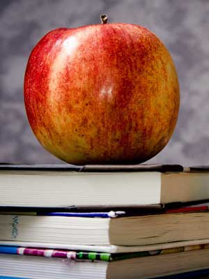 轰炸电话信息软件免费版