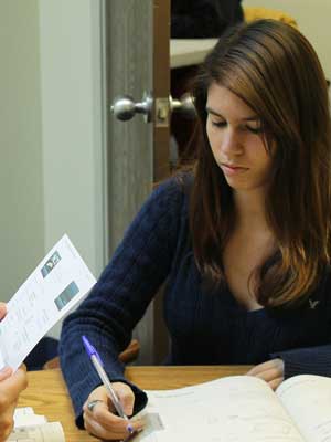 手机号轰在线轰炸